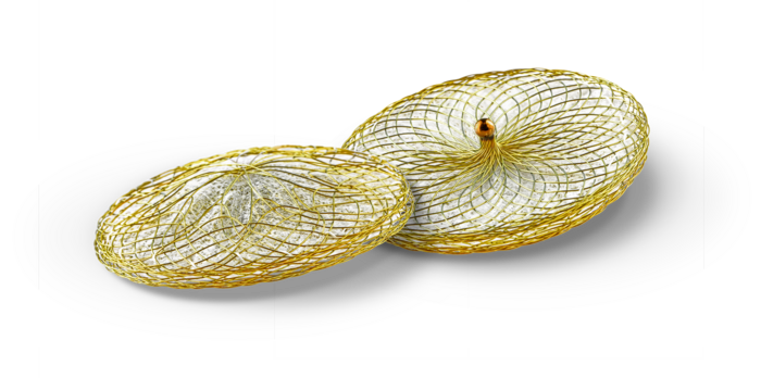 Occlutech Flex II UNI